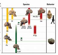 Image result for Evolution of Mankind Timeline