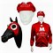 Image result for Horse Racing Blinkers