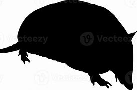 Image result for Armadillo Silhouette