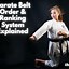 Image result for Karate Black Belt Ranks