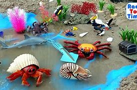 Image result for Ocean Animals Bath Toys