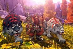 Image result for Hunter Pet Cats WoW