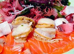 Image result for Sashimi Meaning