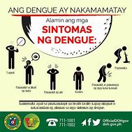 Image result for dengue news