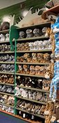 Image result for Zoo Gift Shop