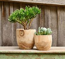 Image result for Beautiful Indoor Plant Pots