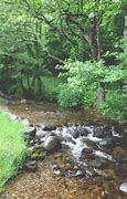 Image result for Country Streams Pics