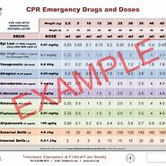 Image result for Veccs CPR Recover