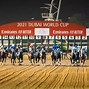 Image result for Dubai Race Horse Drones