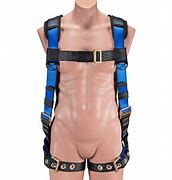 Image result for Retractable Safety Harness