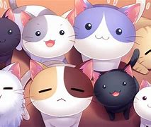 Image result for Funny Anime Cat Wallpaper