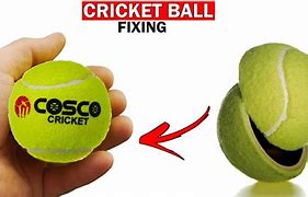 Image result for Cricket Ball Broken Window