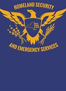 Image result for NYS Dhses Logo