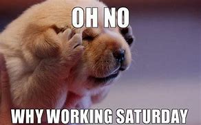 Image result for Saturday Work Meme Funny