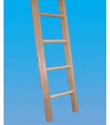 Image result for Extension Ladder with Hooks