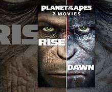 Image result for Rise of the Planet of the Apes Memes