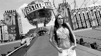 Image result for Nikki Bella WWE Outfits
