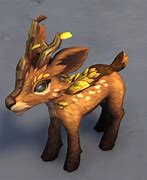 Image result for Spruce Pet WoW