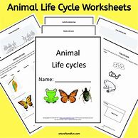 Image result for Animal Life Cycle Worksheet