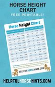 Image result for Horse Height Chart