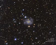 Image result for NGC 2835 Spiral Galaxy