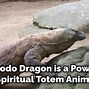 Image result for Komodo Dragon Symbol