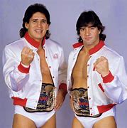 Image result for WWF Tag Teams 80s