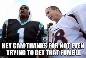 Image result for NFL Memes Cam Newton