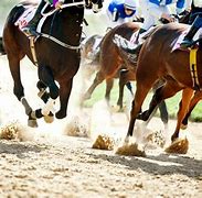 Image result for Horse Racing Courses Print Outs