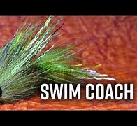 Image result for Baby Swim Coach Fly