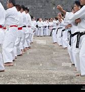 Image result for Types of Karate Okinawa