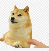 Image result for Woww Doge