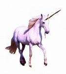 Image result for Unicorn Picher