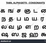 Image result for Language Only Tamil