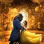 Image result for Beauty and the Beast Series