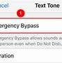 Image result for How to Set Emergency Bypass On iPhone