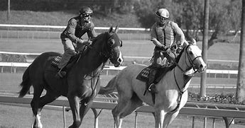 Image result for Santa Anita Leading Jockeys