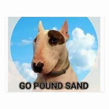 Image result for Go Pound Sand Meme