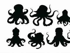 Image result for Octopus Silhouette
