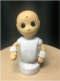 Image result for Robot and Human Living Together