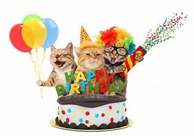 Image result for Happy Birthday with Cats Ai