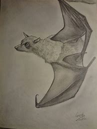 Image result for Bat Doodle