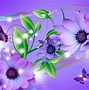 Image result for Floral Laptop Wallpaper