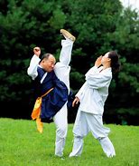 Image result for Taekkyeon