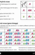 Image result for Monohybrid and Dihybrid Cross