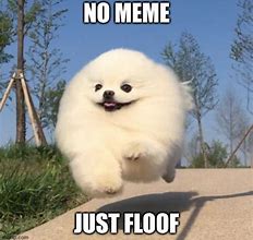 Image result for Floof Meme