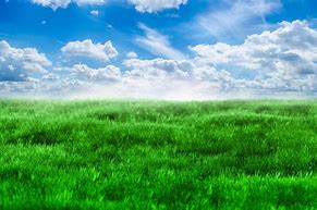 Image result for Blue Sky and Green Grass Thumbnail