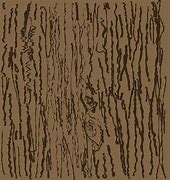 Image result for Cartoon Wood Grain