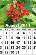 Image result for What Does August Look Like