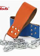 Image result for Weight Belt Chain